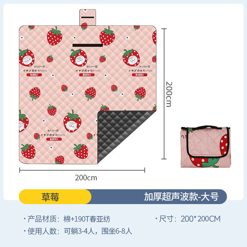 สตรอเบอร์รี่ขนาดใหญ่ 200*200CM